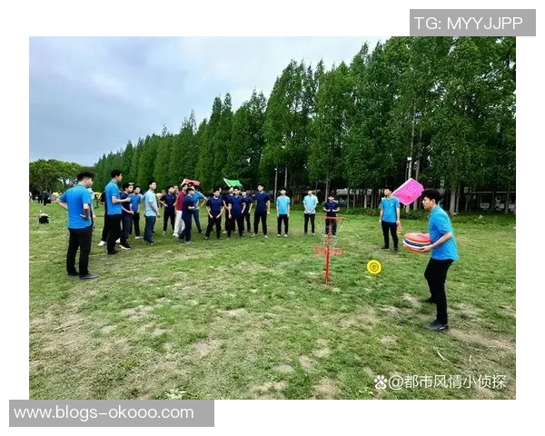 成都飞盘队比赛经验分享：从战术到团队协作的全面解析